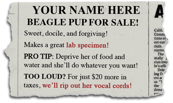 Taxpayer, beagle pup for sale!